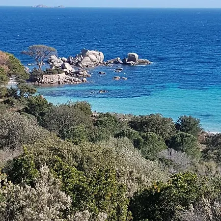 Villa Maison Avec Piscine Chauffee Porto-Vecchio (Corsica)