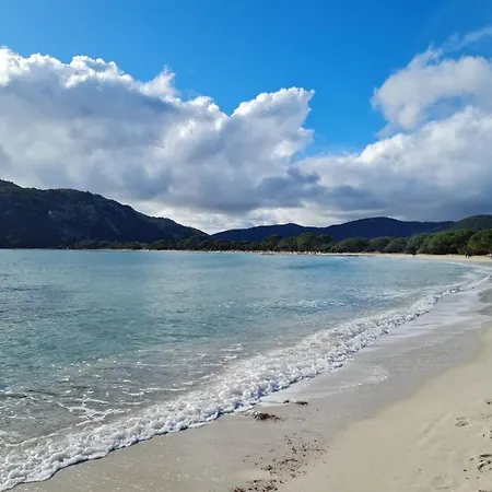 Maison Avec Piscine Chauffee * Porto-Vecchio (Corsica)