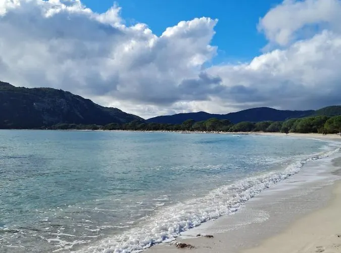 Maison Avec Piscine Chauffee * Porto-Vecchio (Corsica)